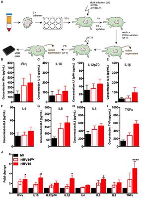 HRV16 Impairs Macrophages Cytokine Response to a Secondary Bacterial Trigger